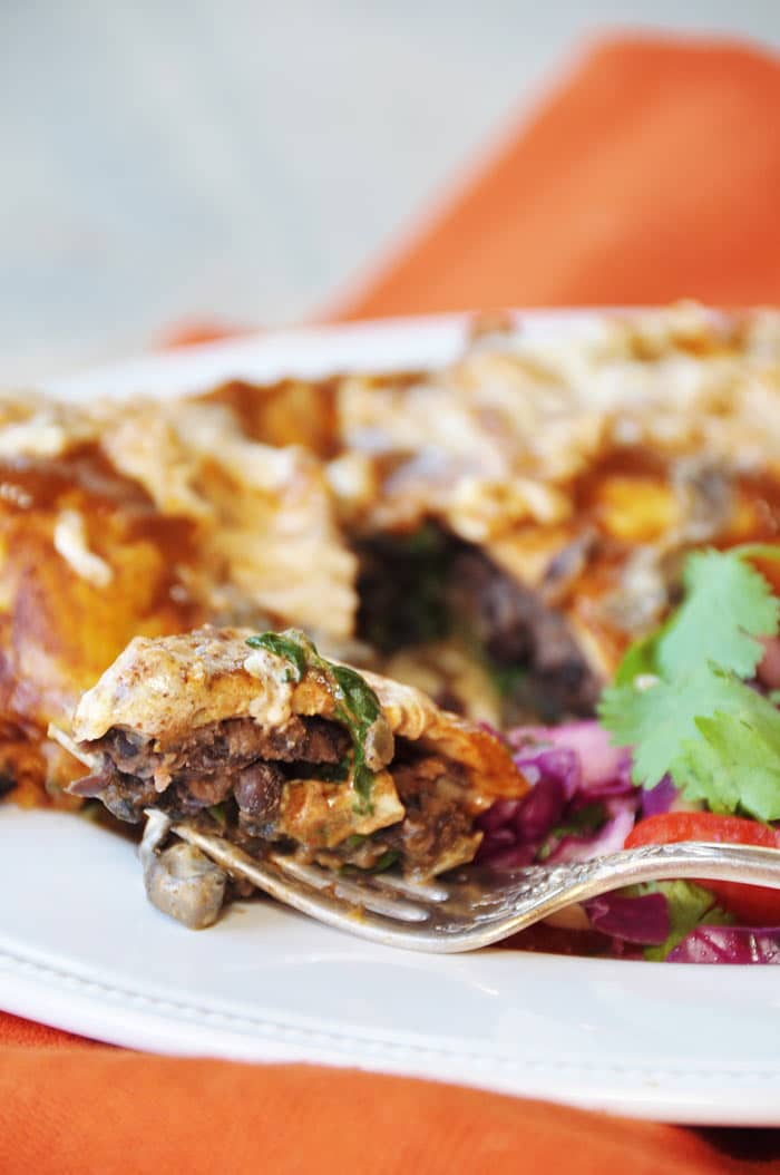 Vegan Black Bean Spinach Mushroom Tinga Enchiladas (Dairy Free