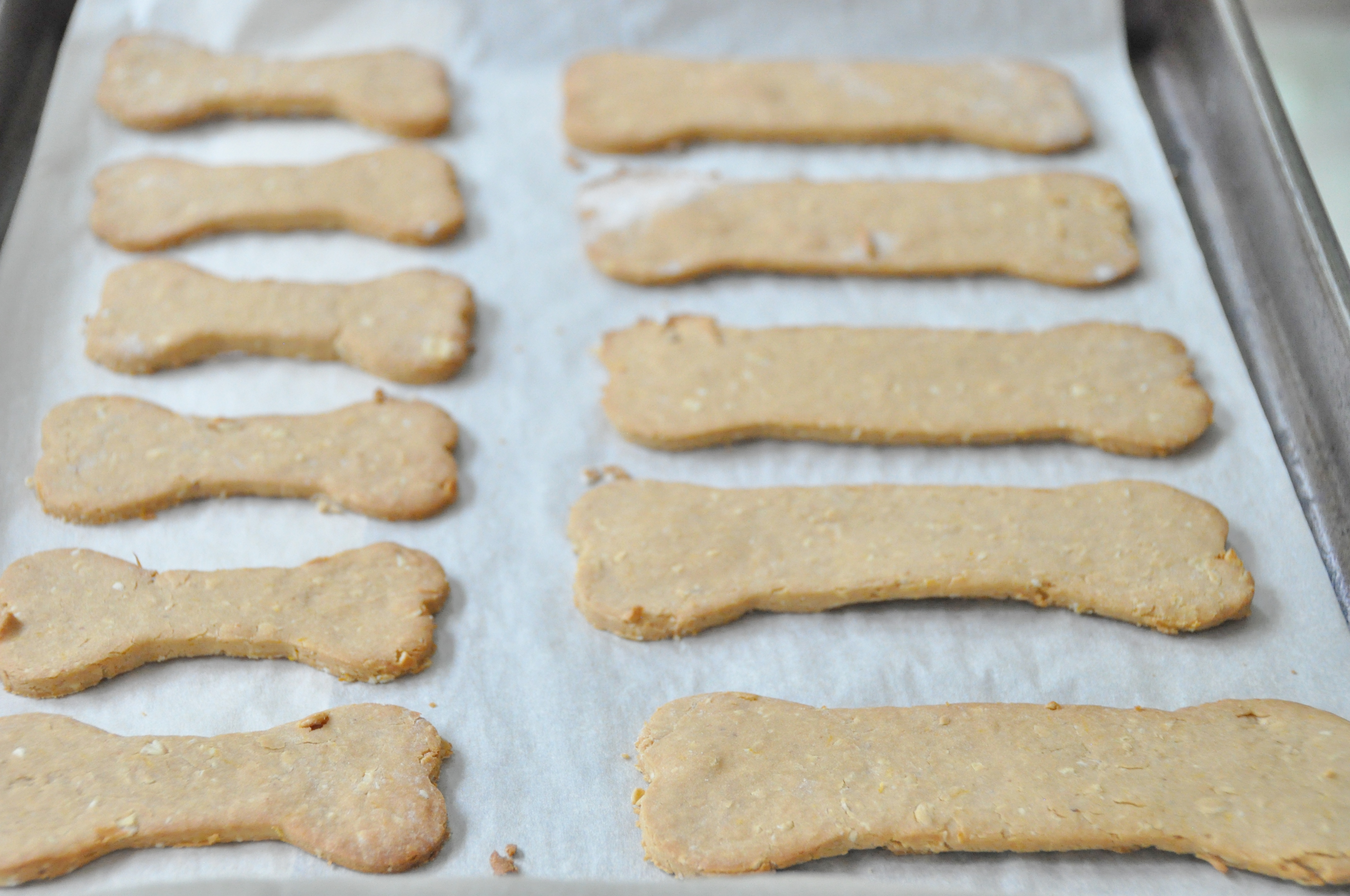 Vegan Peanut Butter and Carrot Dog Cookies Veganosity