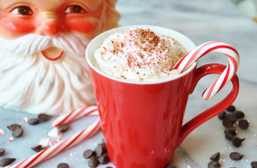Vegan Peppermint Mocha! Make your own peppermint mocha at home. This recipe is easy and delicious. www.veganosity.com