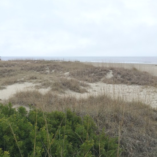 Sand Dune on Tybee Island, GA