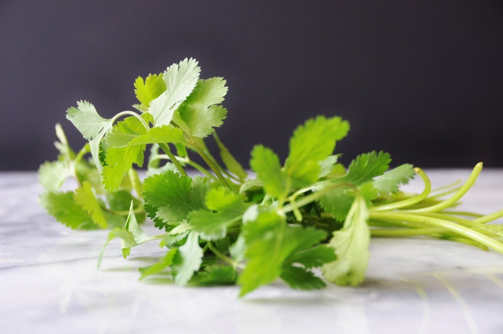 Cilantro on a wooden board. 