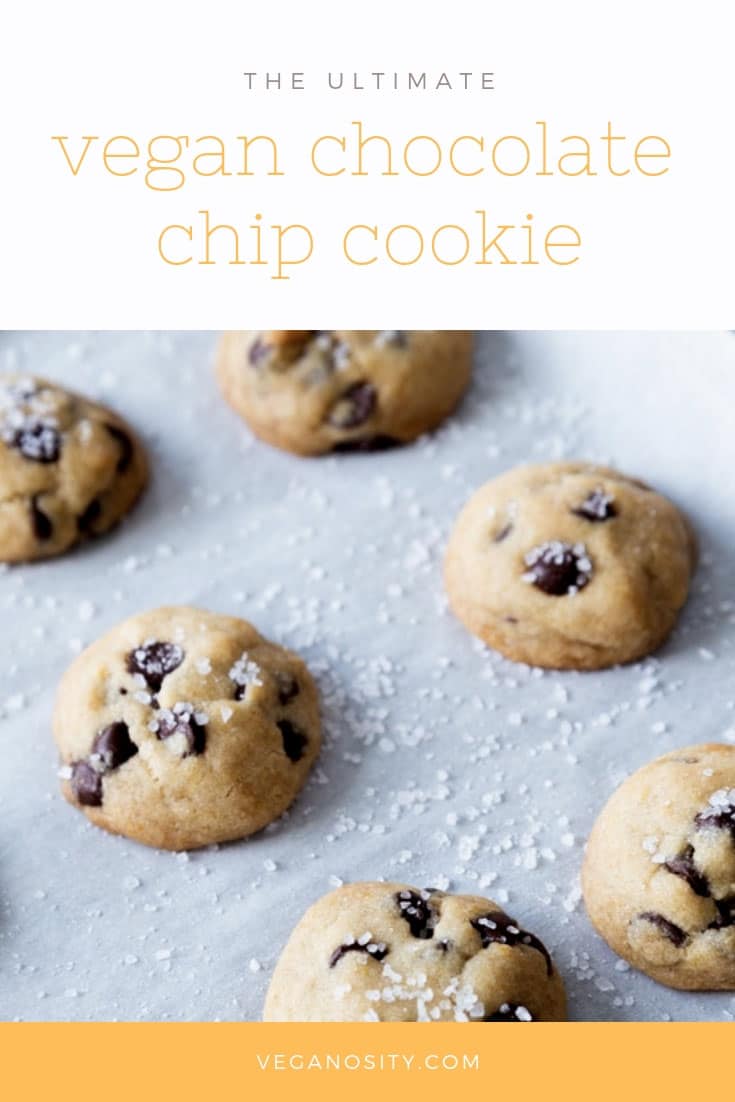 The ultimate vegan salted dark chocolate chip cookies! Crispy on the outside and chewy on the inside! #vegancookies #dairyfree #eggfree