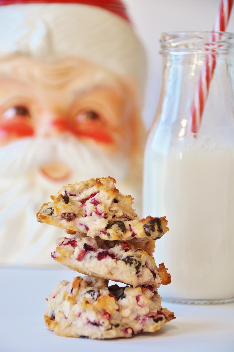 Gluten-Free Vegan Chocolate Cranberry Coconut Macaroons! This holiday cookie recipe is just one of twelve healthy recipes from some of my favorite bloggers. You're going to love these macaroons. They're crispy on the outside and chewy on the inside, filled with tangy fresh cranberry, sweet coconut, and dark chocolate. www.veganosity.com