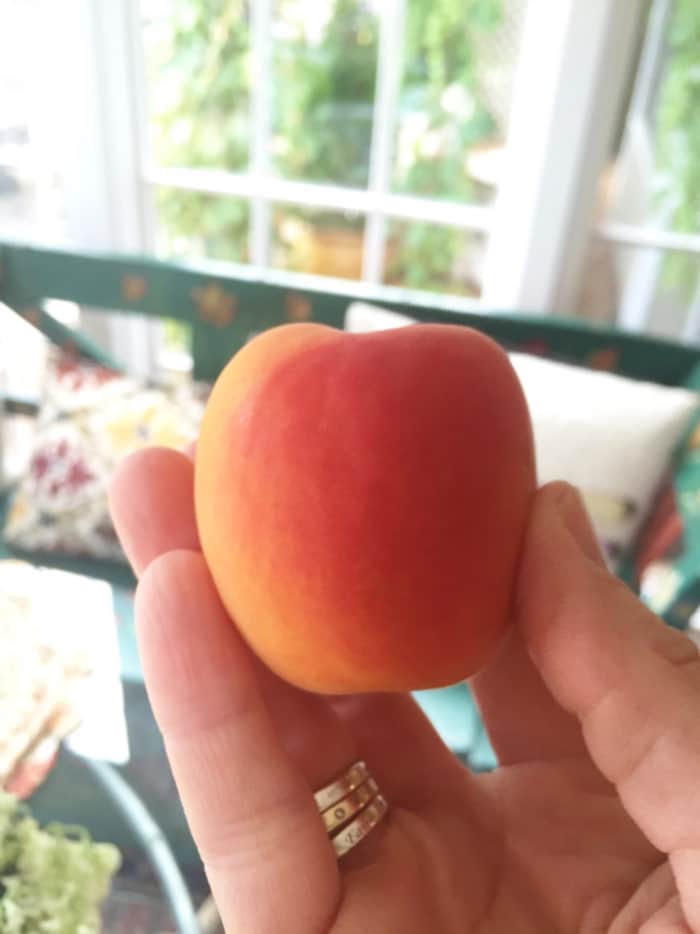 Check out all of the hearty and delicious plant-based foods I ate in one day while training for a marathon. I'm getting plenty of protein! www.veganosity.com