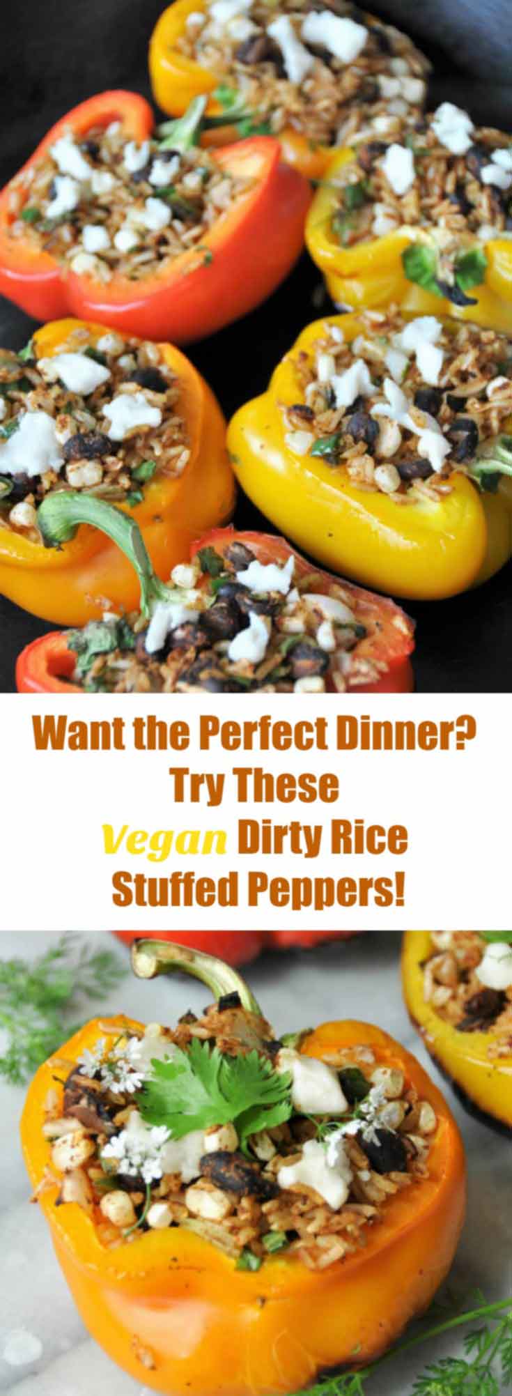 Take your stuffed pepper recipe to another level! Stuff them with dirty rice and grill them. So delicious! www.veganosity.com