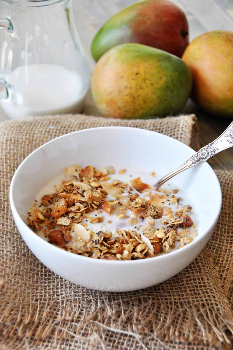Make your own tropical granola with dried mango, coconut, almonds, watermelon seeds, oats, and chia seeds. SO delicious! www.veganosity.com