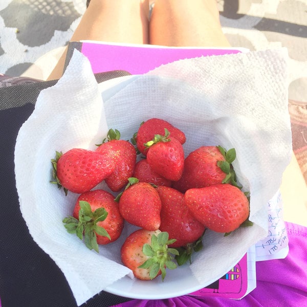 How to get enough protein and nutrients to handle endurance training on a plant-based vegan diet! www.veganosity.com