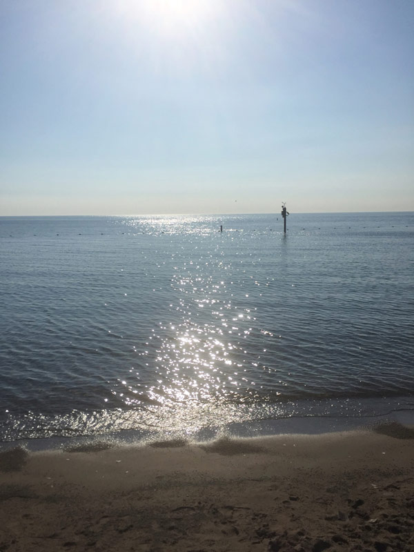 You can fuel your body on a whole foods plant-based vegan diet if you're an endurance athlete. See how at www.veganosity.com