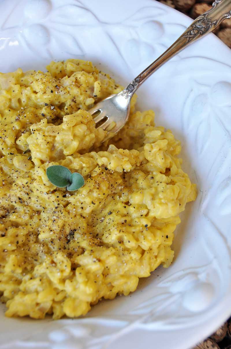 Creamy pumpkin sage cream sauce in chewy risotto in a white pasta bowl with a fork. 