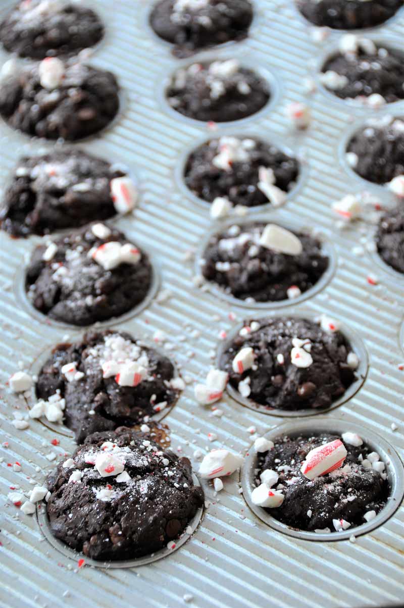 Vegan dark chocolate and peppermint brownie bites recipe! The perfect holiday treat! www.veganosity.com