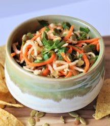 Jicama, carrots, Pablano pepper, in a refreshing lime dressing, topped with roasted pepitas! The perfect slaw salsa appetizer!