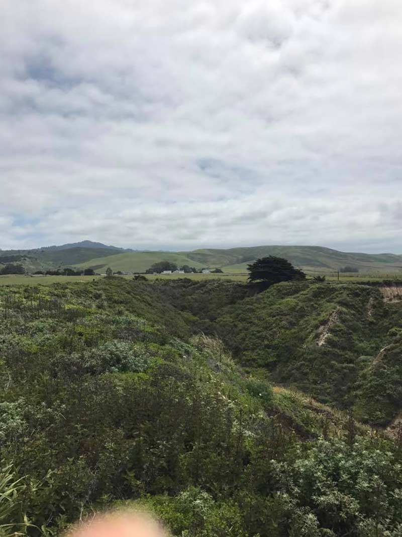 The Hills of Half Moon Bay, CA