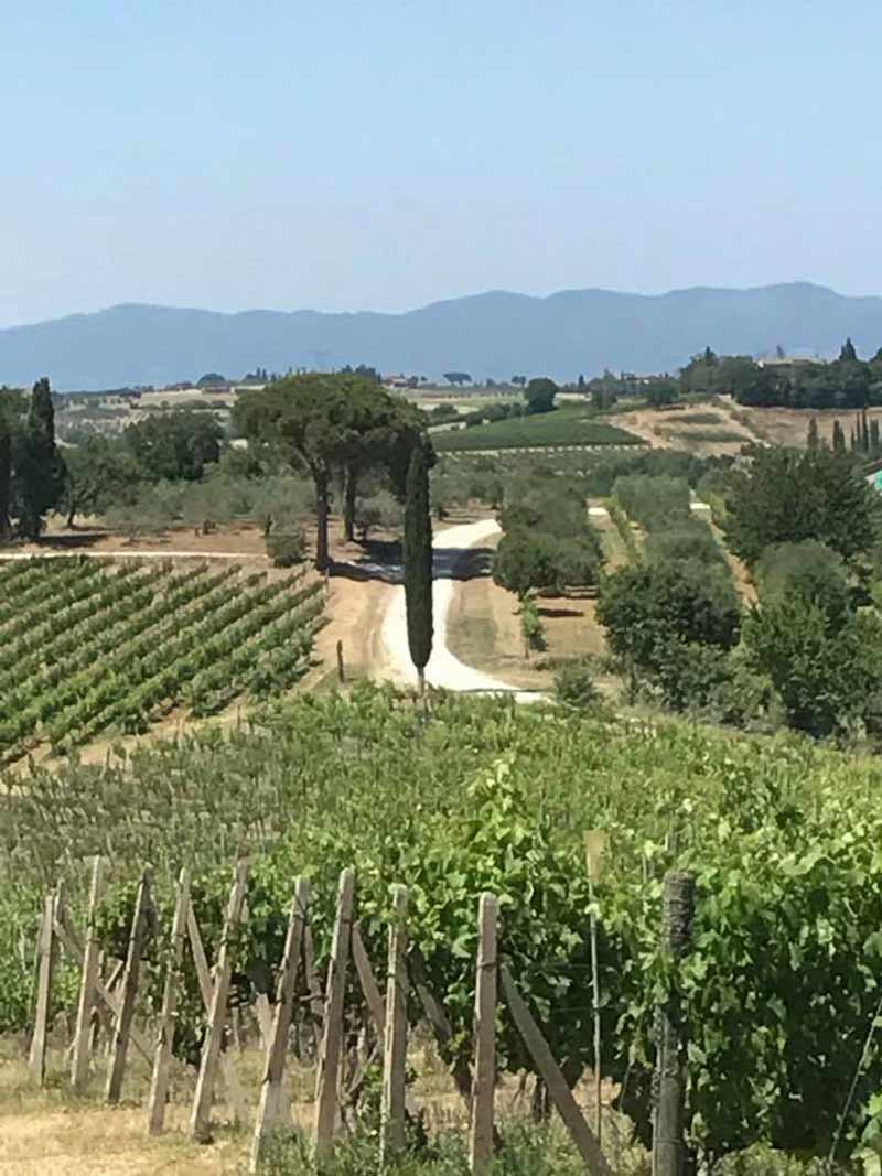 Winery in Tuscany, Italy