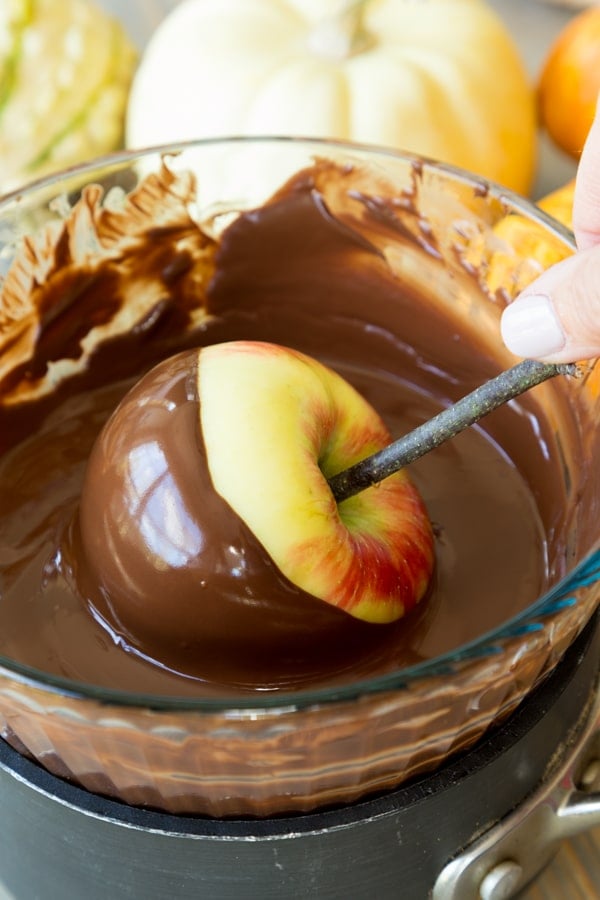 An apple with a twig sticking out of the center being dipped in melted chocolate