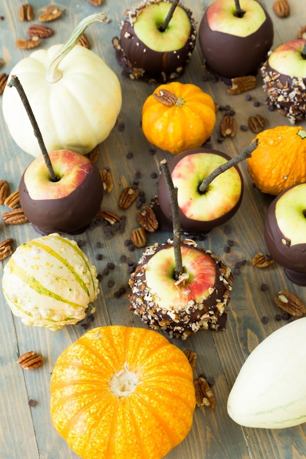 An overhead shot of chocolate dipped apples with pumpkins and nuts scattered around