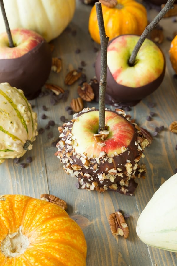 Chocolate covered apples, some with chopped nuts, and white and orange pumpkins scattered on a wood surface