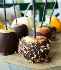 Chocolate covered apples on a piece of parchment paper on a wood table. Some of the apples are rolled in chopped nuts and they all have twigs inserted in the centers.