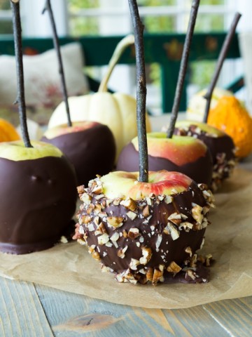 Chocolate covered apples on a piece of parchment paper on a wood table. Some of the apples are rolled in chopped nuts and they all have twigs inserted in the centers.