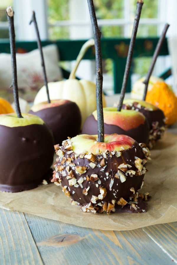 Chocolate covered apples on a piece of parchment paper on a wood table. Some of the apples are rolled in chopped nuts and they all have twigs inserted in the centers. 