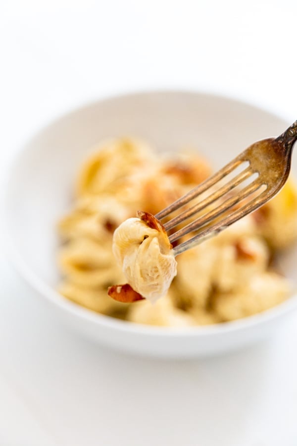 A fork full of macaroni and cheese held over a white bowl of mac and cheese. 