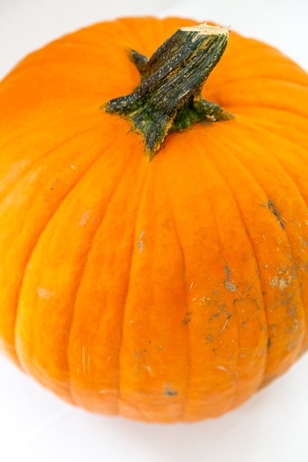 A large orange pumpkin on a white table. 