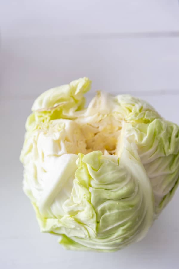 A green cabbage with the core removed.