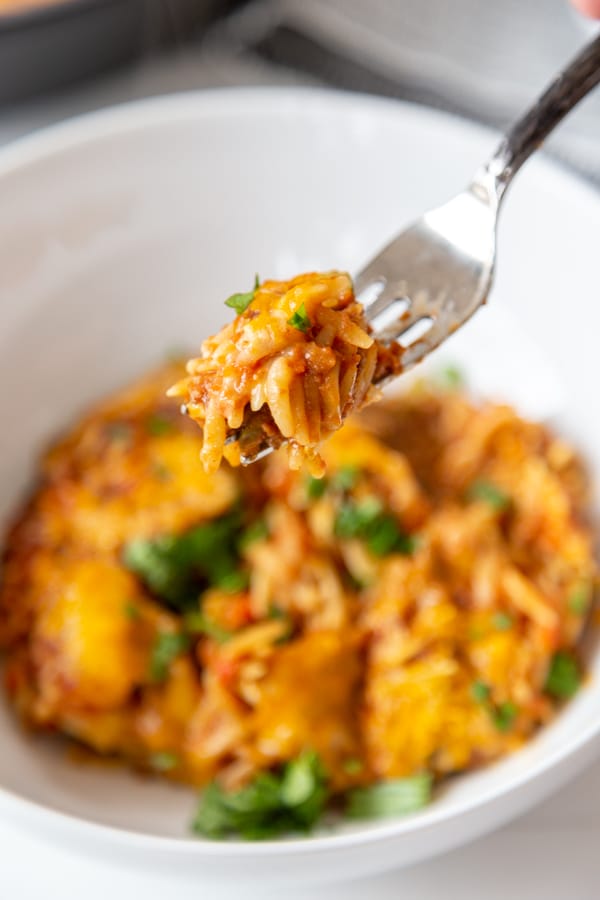 A fork full of a pasta casserole over a white bowl of the casserole. 