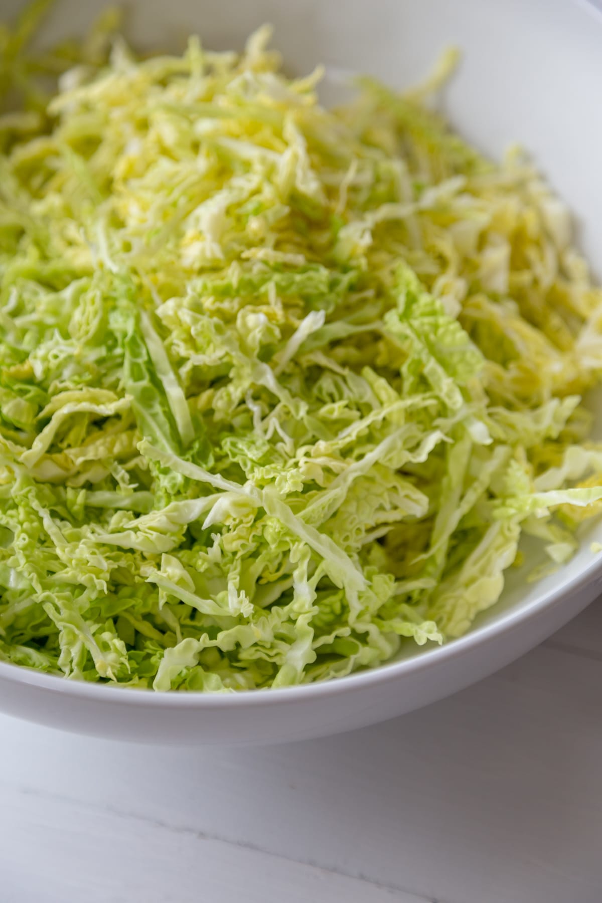 A white bowl filled with green cabbage that's been shredded.
