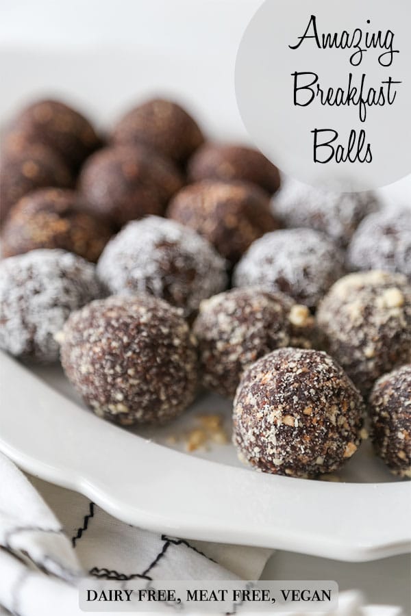 No Bake Chocolate Breakfast Balls Veganosity