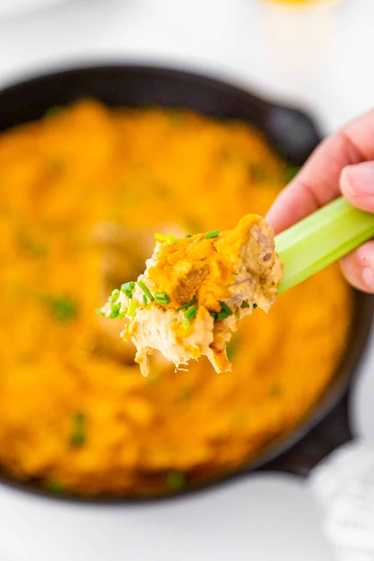 A hand holding a celery stick with buffalo dip over a cast iron skillet of the dip.