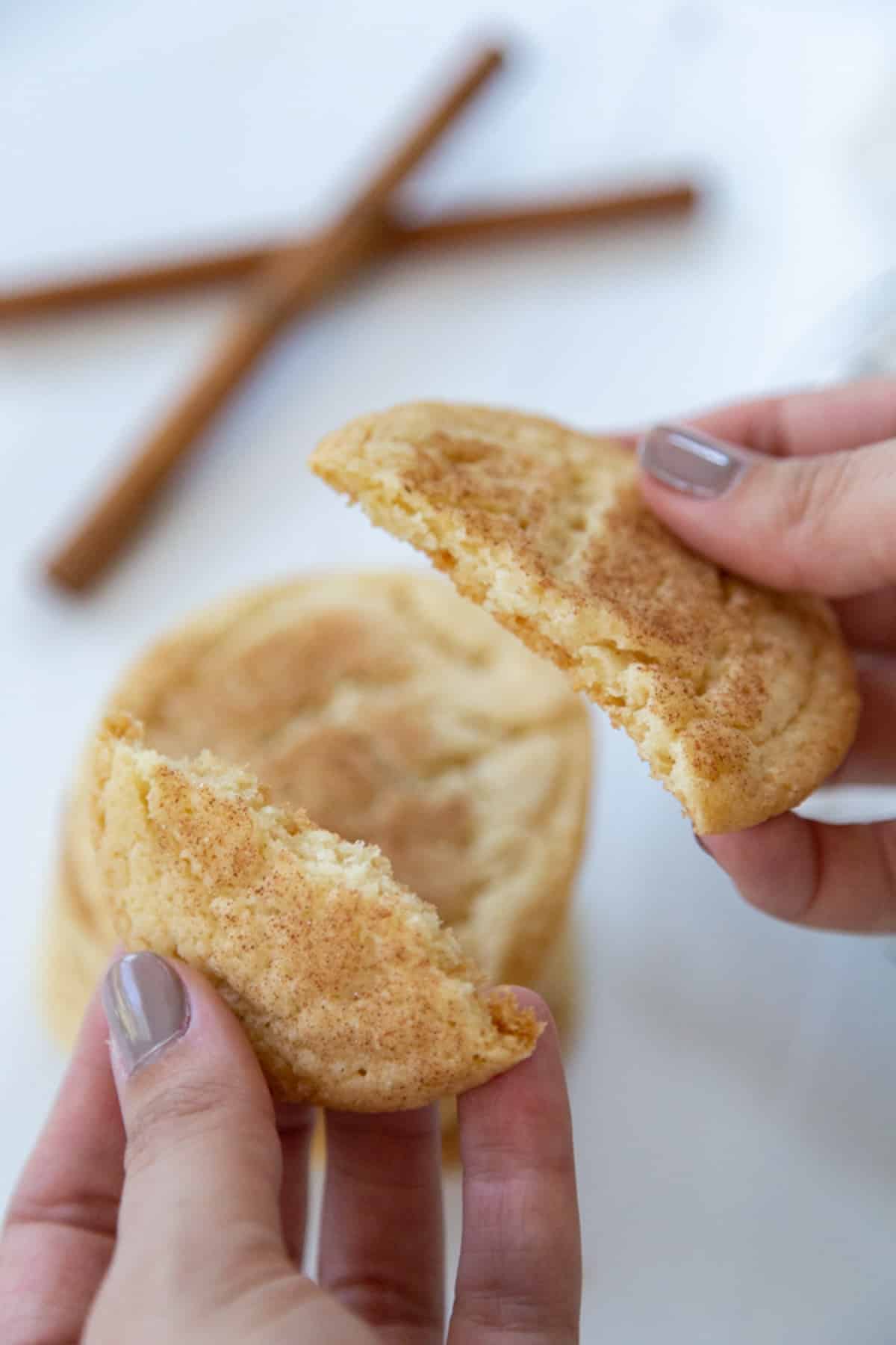 A hand breaking apart a snickerdoodle cookie.